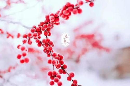 u=2685378807,1691543623&fm=11&gp=0.jpg u=2685378807,1691543623&fm=11&gp=0.jpg